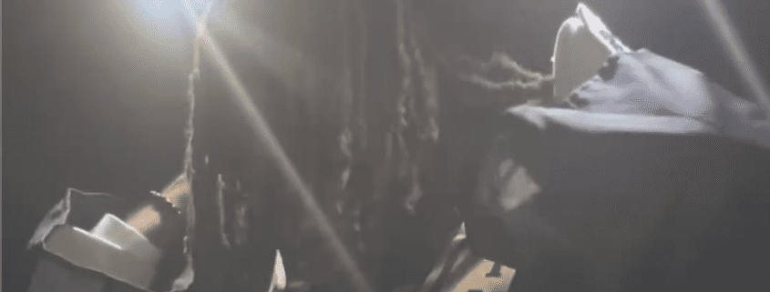 Person with dreadlocks under bright light.